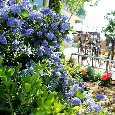 Idassa Zadar